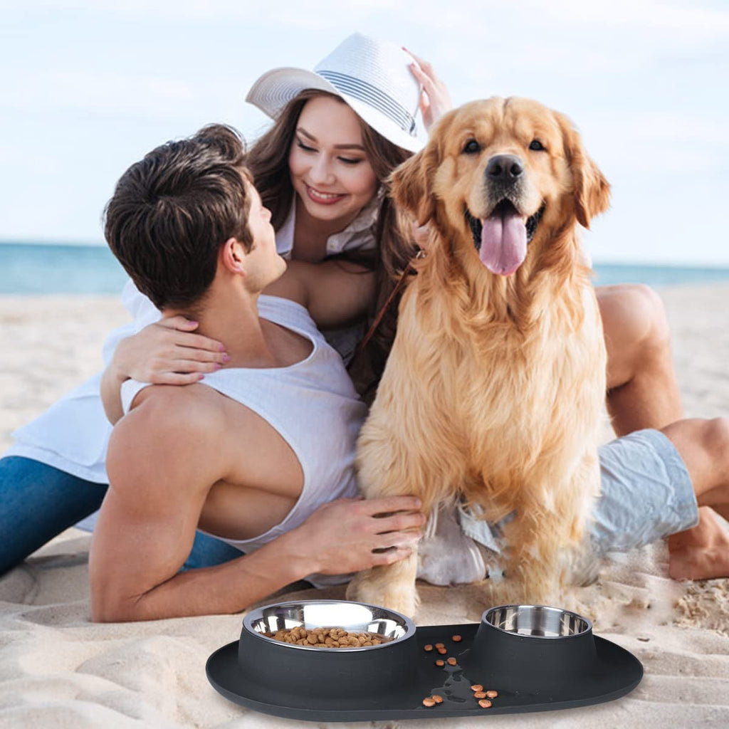 Stainless Steel Double Dog and Cat Bowls with No-Spill Non-Skid Silicone Mat - Pet Food and Water Feeder for Small to Large Dogs, Puppies, and Pets