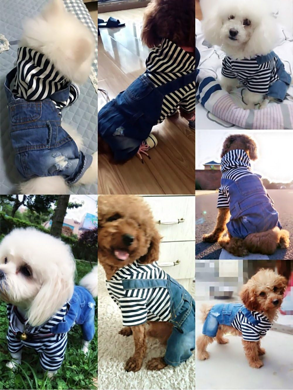 Denim Jumpsuit for Dogs - Vintage Washed Blue Hoodie Jacket for Small to Medium Breeds
